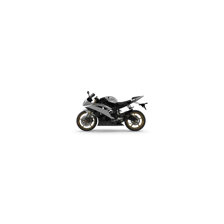 Generic Motorcycle