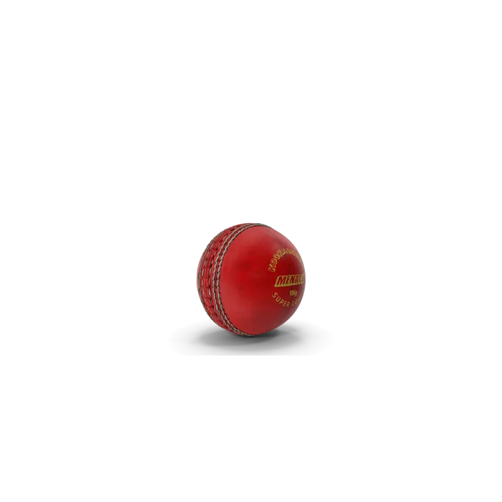 Cricket Ball
