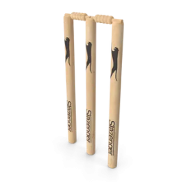 Cricket Wicket