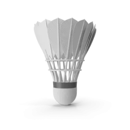 Feather Shuttlecock