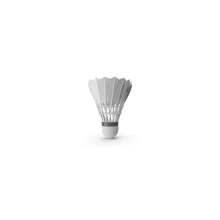 Feather Shuttlecock