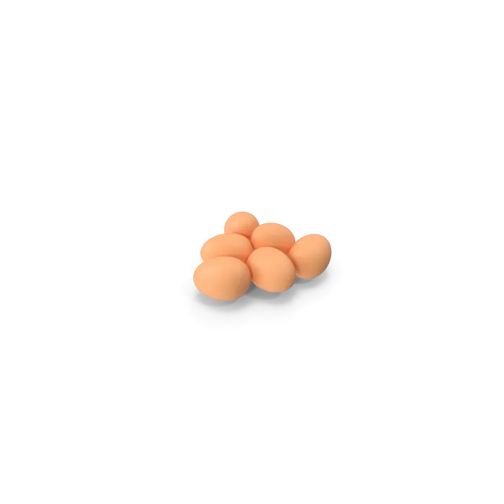 Eggs
